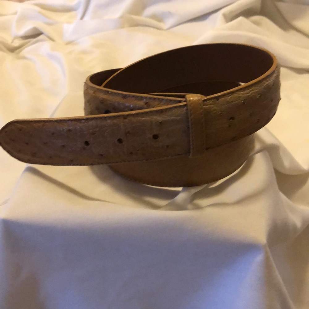 Ostrich Belt